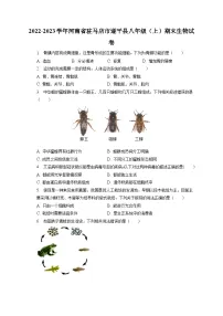 2022-2023学年河南省驻马店市遂平县八年级（上）期末生物试卷（含解析）