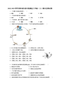 2022-2023学年吉林省长春市宽城区八年级（上）期末生物试卷（含解析）