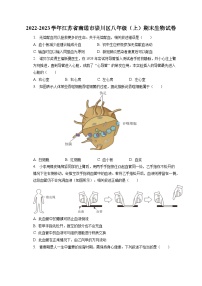 2022-2023学年江苏省南通市崇川区八年级（上）期末生物试卷（含解析）