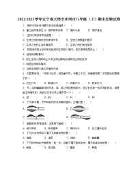 2022-2023学年辽宁省大连市庄河市八年级（上）期末生物试卷（含解析）