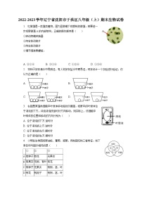 2022-2023学年辽宁省沈阳市于洪区八年级（上）期末生物试卷（含解析）