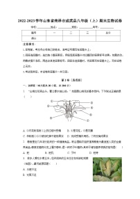 2022-2023学年山东省菏泽市成武县八年级（上）期末生物试卷（含解析）