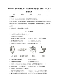 2022-2023学年河南省周口市项城市五校联考八年级（下）期中生物试卷（含解析）