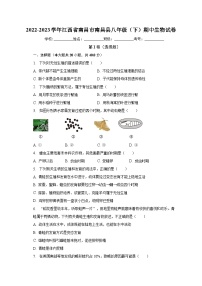 2022-2023学年江西省南昌市南昌县八年级（下）期中生物试卷（含解析）