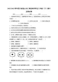 2022-2023学年四川省眉山市仁寿县钟祥学区八年级（下）期中生物试卷（含解析）