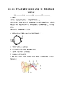 2022-2023学年山东省泰安市高新区七年级（下）期中生物试卷 （五四学制）（含解析）