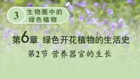 北师大版七年级上册第2节  营养器官的生长教案配套ppt课件