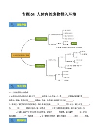 【期末总复习】2021-2022学年苏教版生物七年级下学期期末讲学案-专题04 人体内废物排入环境（原卷版+解析版）