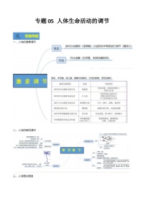 【期末总复习】2021-2022学年苏教版生物七年级下学期期末讲学案-专题05 人体生命活动的调节（原卷版+解析版）