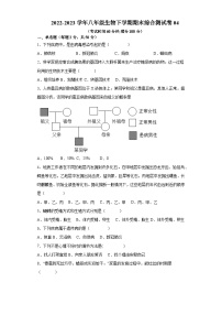 卷04-2022-2023学年人教版八年级生物下学期期末综合测试卷（原卷版+解析版）