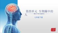 【期末复习课件】人教版七年级生物下学期第一章：人的由来（复习课件）