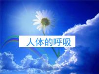 【期末复习课件】人教版七年级生物下学期第三章：人体的呼吸（复习课件）