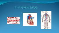 【期末复习课件】人教版七年级生物下学期第四章：人体内物质的运输（复习课件）