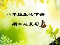 【期末复习课件】人教版八年级生物下学期八下期末总复习课件
