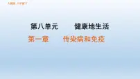 【期末复习课件】人教版八年级生物下学期第八单元第1章 传染病和免疫(复习课件)