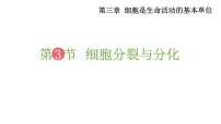 初中生物苏教版七年级上册第三节 细胞的分裂与分化备课ppt课件