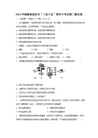 2023年湖南省岳阳市“三县六区”联考中考生物二模试卷（含解析）