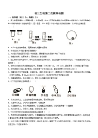 2023年山东省泰安市泰山区中考二模生物试题(含答案)