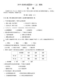 2019北京东城区初一（上）期末生物含答案