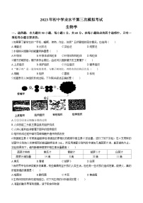 2023年广东省东莞市常平镇中考三模生物试题(含答案)