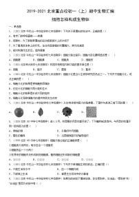 2019-2021北京重点校初一（上）期中生物汇编：细胞怎样构成生物体