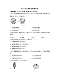 2021年宁夏中考生物试题（原卷版）