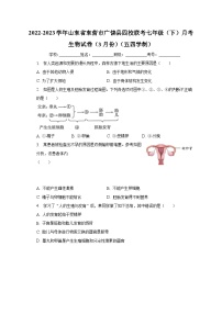 2022-2023学年山东省东营市广饶县四校联考七年级（下）月考生物试卷（3月份）（五四学制）（含解析）