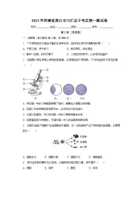 2023年河南省周口市川汇区中考生物一模试卷（含解析）