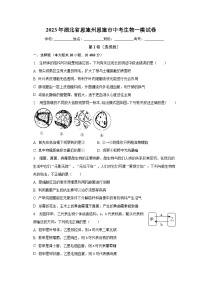 2023年湖北省恩施州恩施市中考生物一模试卷（含解析）