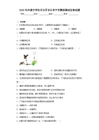 2023年内蒙古呼伦贝尔牙克石市中考模拟测试生物试题（含解析）