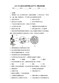 2023年云南省玉溪市峨山县中考三模生物试题（含解析）