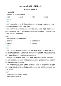 精品解析：福建省漳州市漳州一中碧湖校区2022-2023学年七年级下学期期中生物试题（解析版）