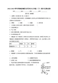 2022-2023学年河南省南阳市邓州市七年级(下)期中生物试卷(含解析)