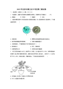 2023年北京市顺义区中考生物二模试卷(含解析)