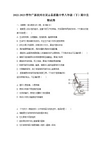 2022-2023学年广西钦州市灵山县那隆中学八年级（下）期中生物试卷（含解析）