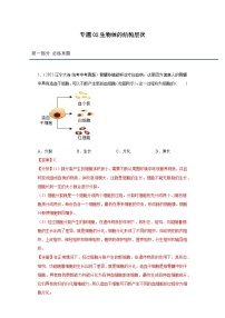 2023年中考生物专题复习02 生物体的结构层次（习题+答案）