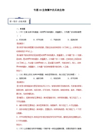 2023年中考生物专题复习09  生物圈中的其他生物（习题+答案）