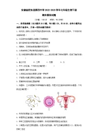 安徽省肥东县第四中学2022-2023学年七年级生物下册期末模拟试题