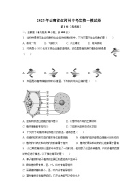 2023年云南省红河州中考生物一模试卷（含解析）