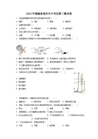 2023年福建省泉州市中考生物二模试卷(含答案解析)