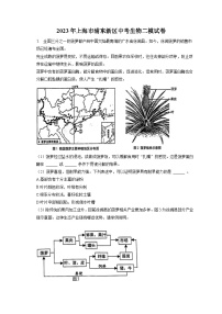 2023年上海市浦东新区中考生物二模试卷（含答案解析）