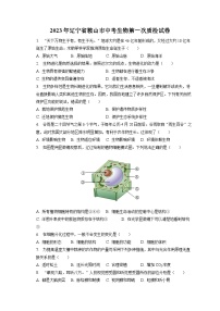 2023年辽宁省鞍山市中考生物第一次质检试卷（含答案解析）