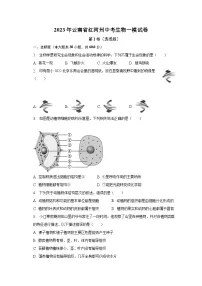 2023年云南省红河州中考生物一模试卷(含答案)