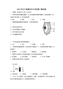 2023年辽宁省锦州市中考生物二模试卷