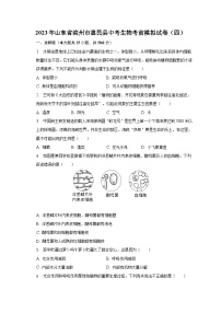 2023年山东省滨州市惠民县中考生物考前模拟试卷（四）（含解析）