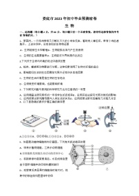 2023年湖南省娄底市中考模拟预测生物试题