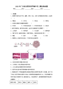 2023年广东省东莞市常平镇中考三模生物试题（含解析）