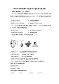 2023年山东省德州市禹城市中考生物二模试卷（含解析）