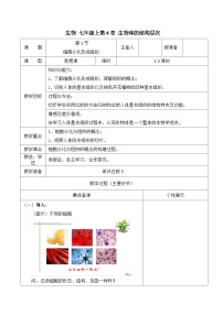初中生物北师大版七年级上册第1节 细胞分化形成组织教案