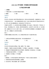 精品解析：广东省深圳市南山区2020-2021学年七年级下学期期末生物试题（解析版）